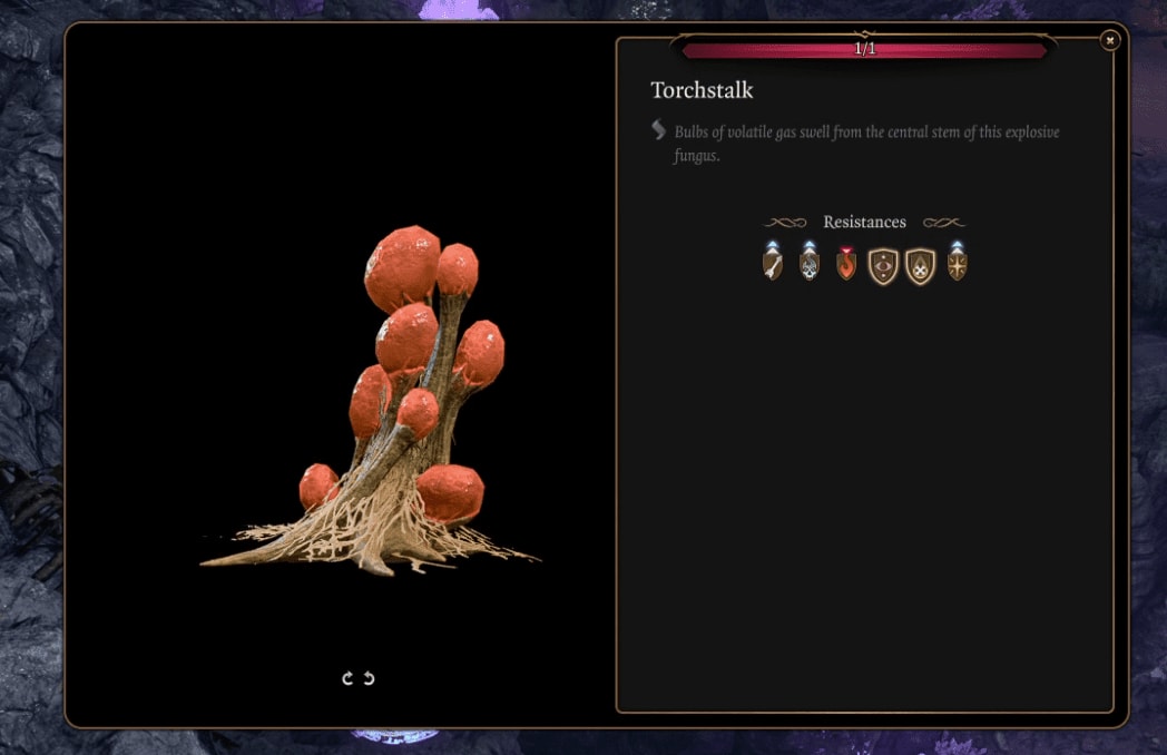 image-20230901205841118