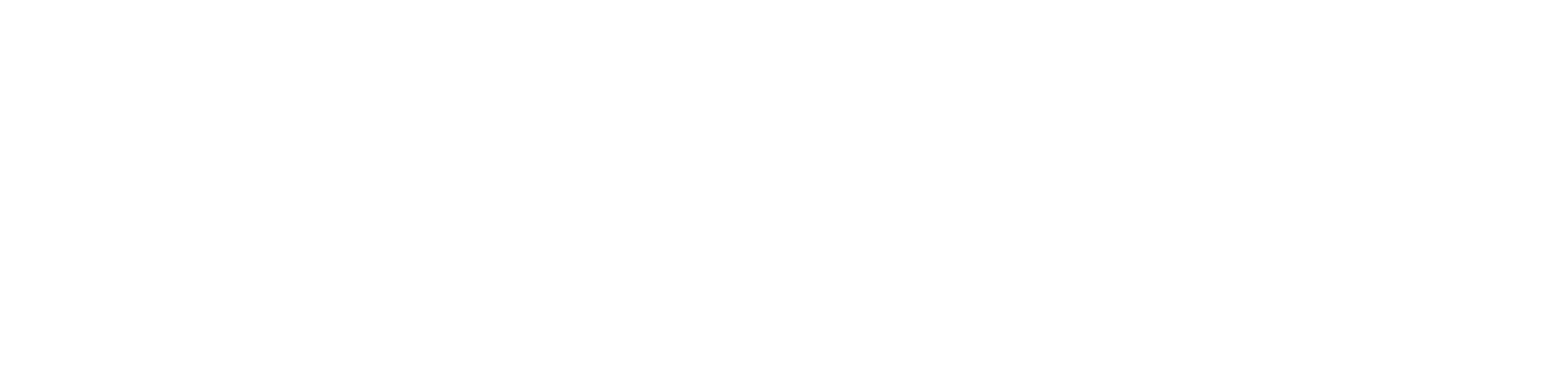 WaveConv Logo