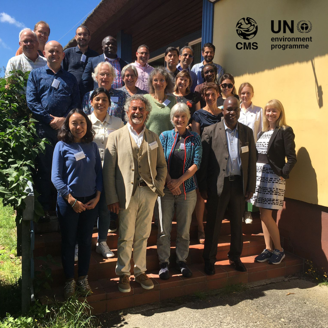 Migratory Species of Wild Animals