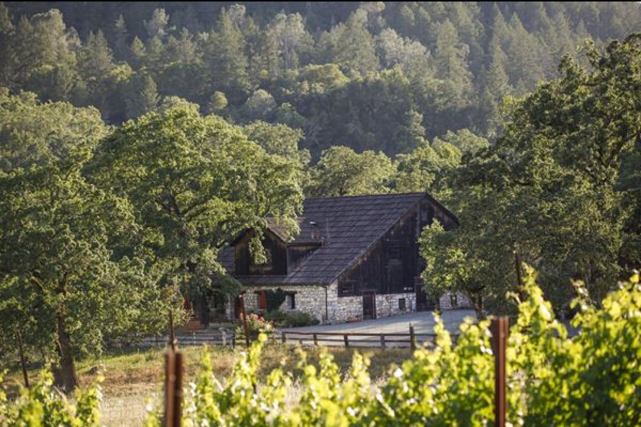Angels Share WineS - Hand-Crafted, Boutique Fine Wines
