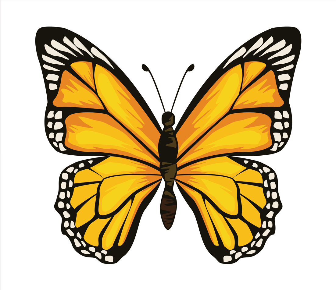 نقاشی پروانه