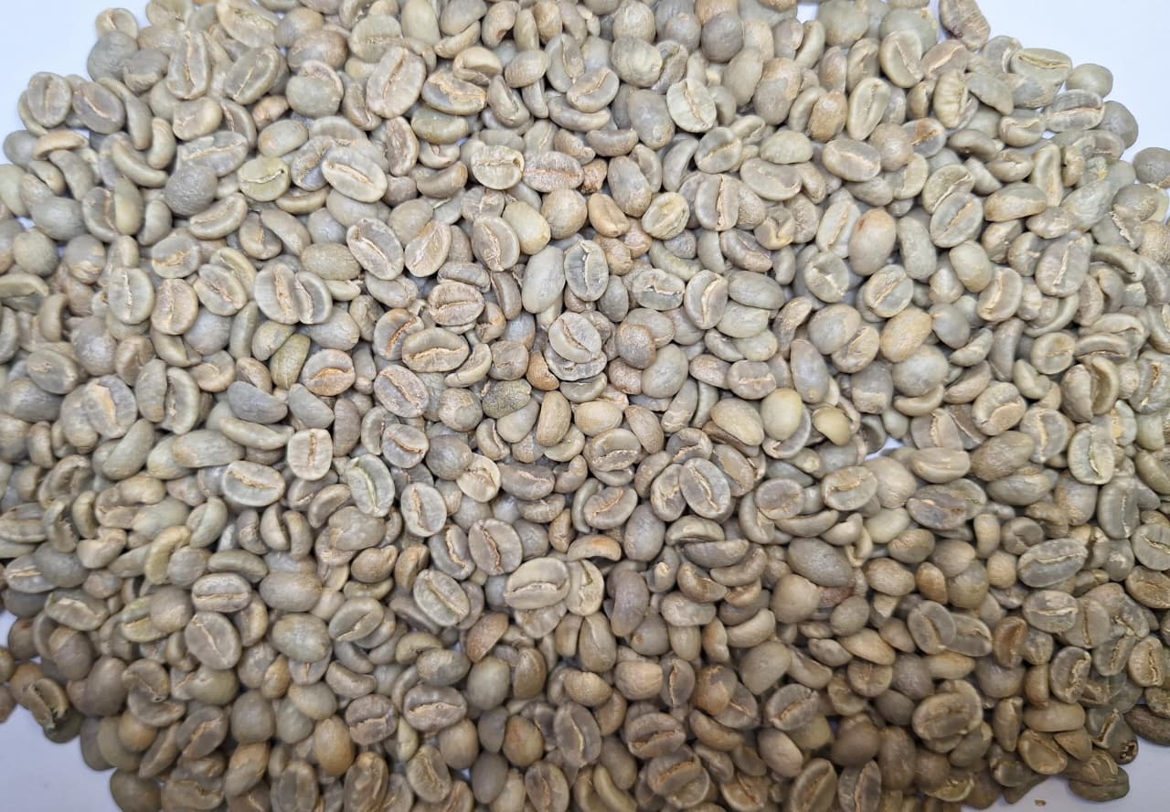Indonesia Robusta ELB Grade 3