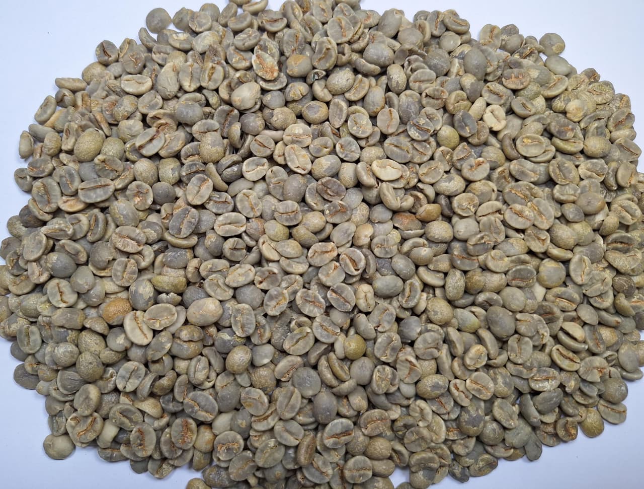 Indonesia Robusta EK I Grade 3