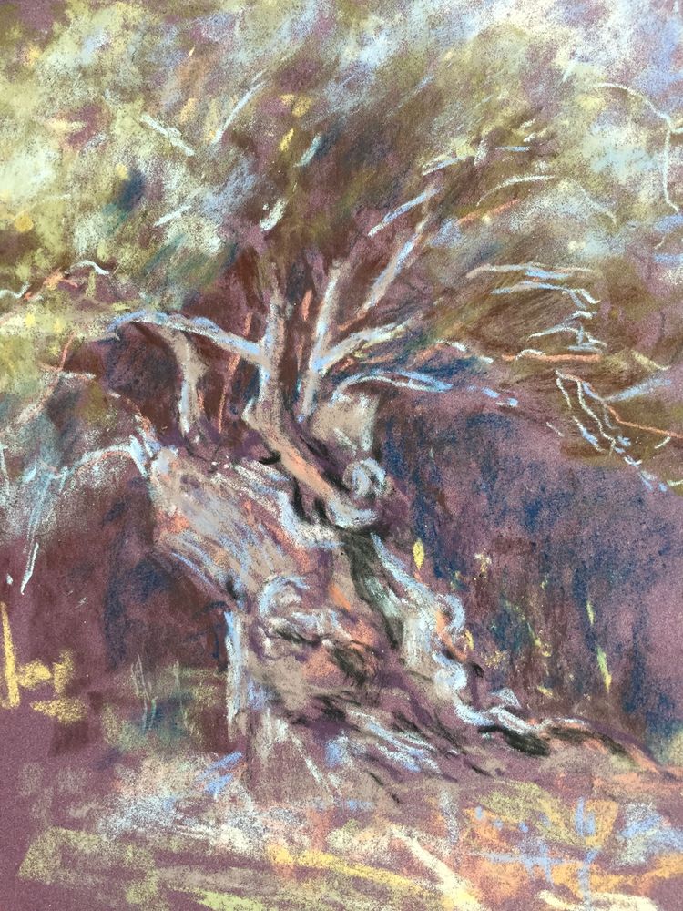 Olive tree Crete Pastel and Water colour