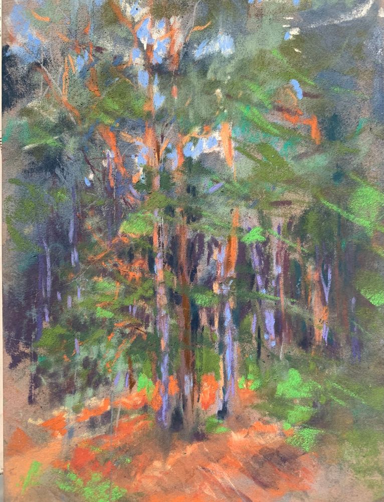 Malvern pines 