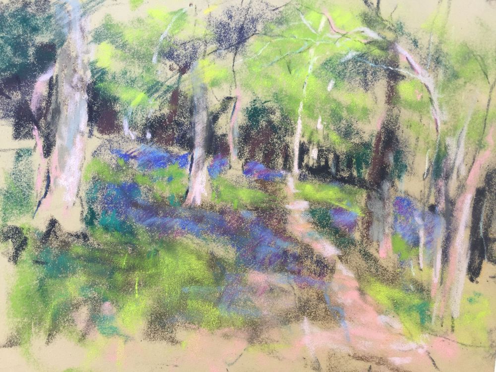 Perry wood Bluebells Pastel on Pastelmat  ( sold) 