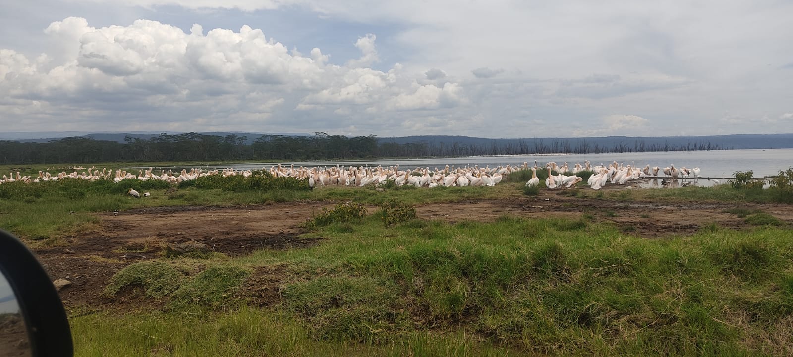 Journey from Nairobi to Nakuru: A Scenic Cab Journey