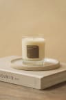 Alpine Forest Candle - Vue 1