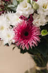 Saphira Bouquet - Vue 5