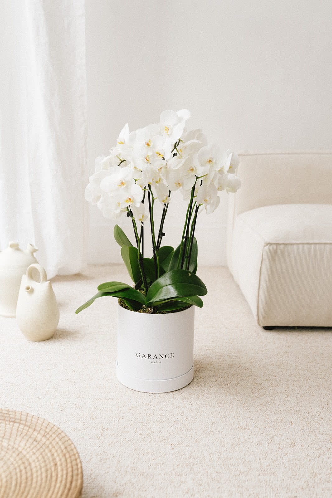 Orchid Box - 1