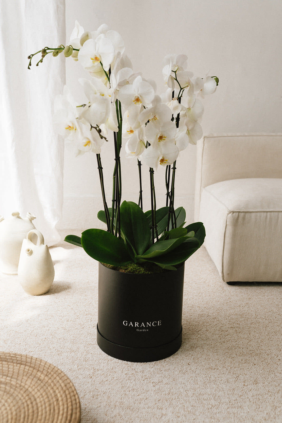 Orchid Box - 2