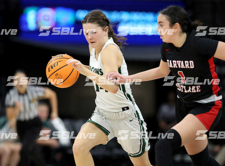 Colfax vs Harvard-Westlake CIF State D2 Final March 9, 2024 Photo-Dennis Lee12.JPG