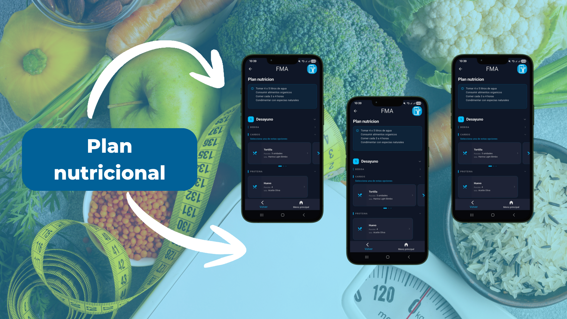Constructor de planes nutricionales FitManage