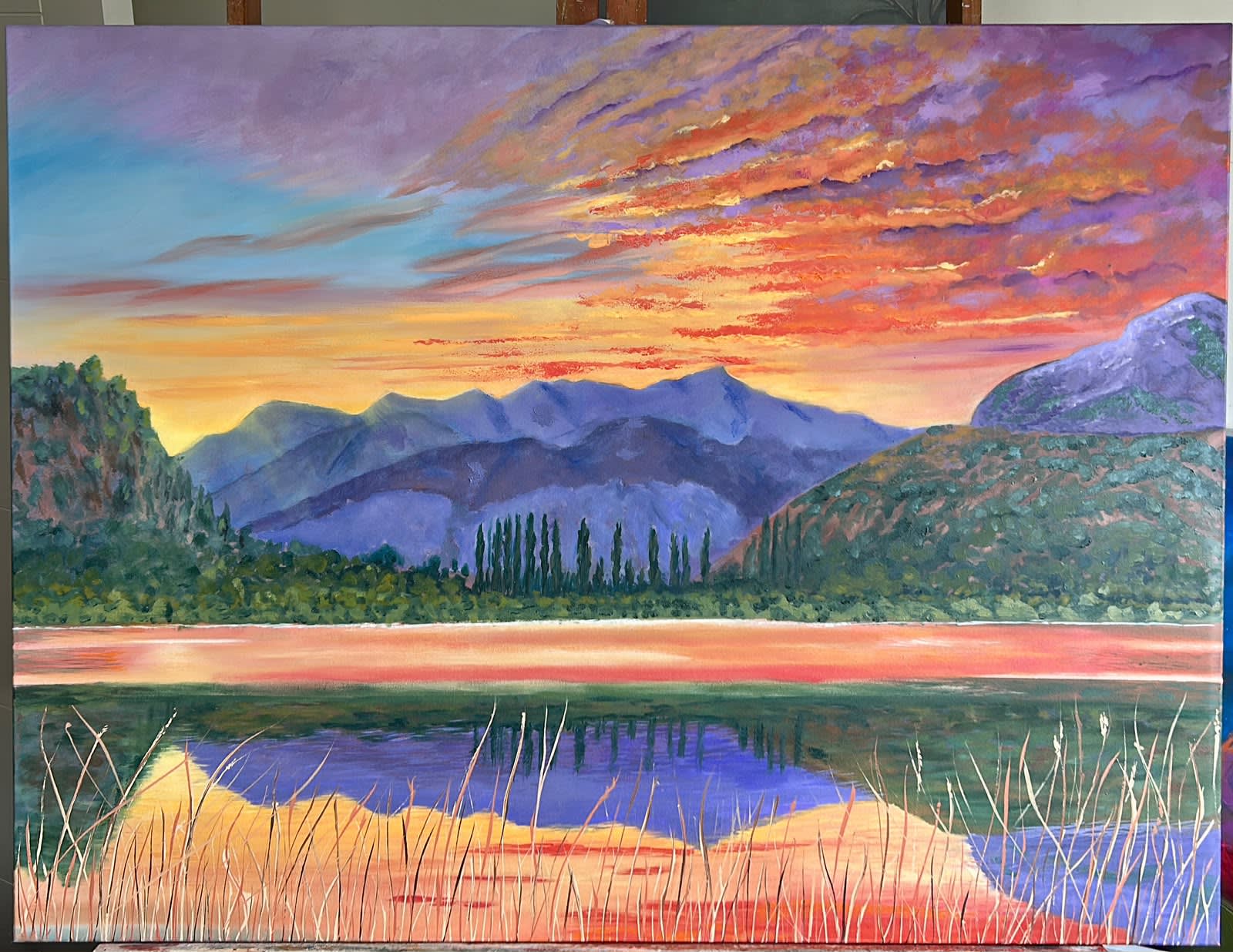 Pintura c13 de Marcela Pedrosa