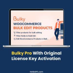 Bulky Pro With Original License Key Activation