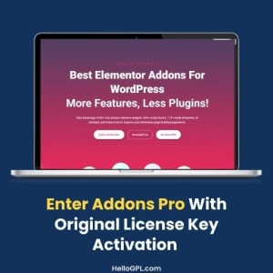 Enter Addons Pro With Original License Key Activation