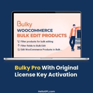 Bulky Pro With Original License Key Activation