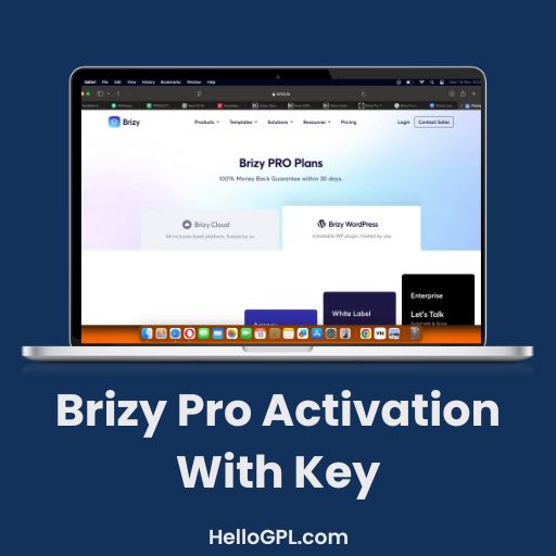Brizy Pro Activation With Key (Lifetime Auto Update)