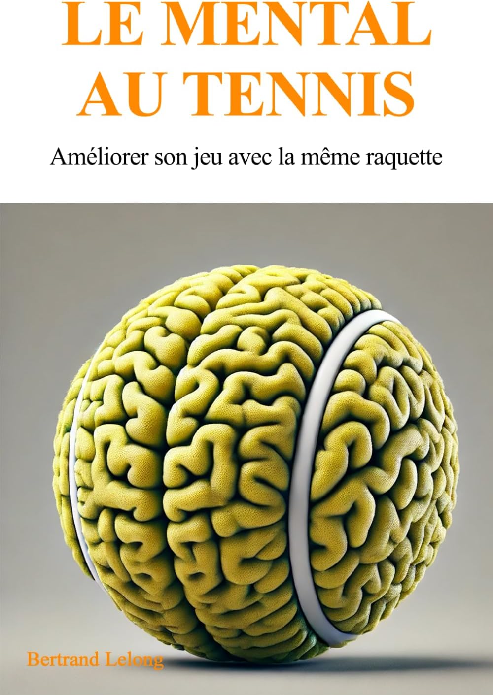 Vue 4 de Mental Dacier La