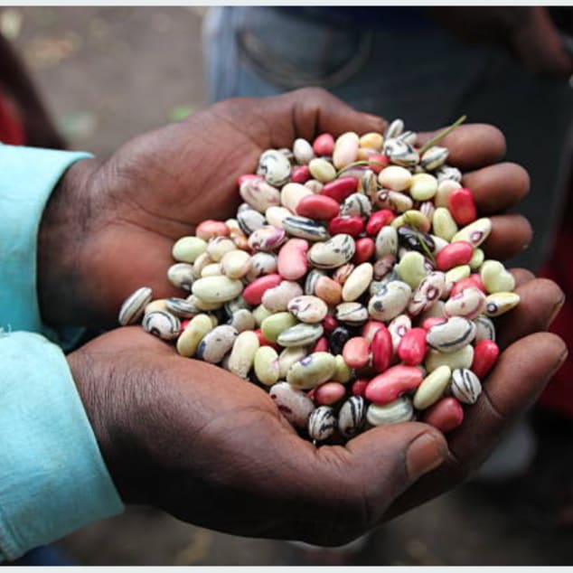 Sécurité alimentaire