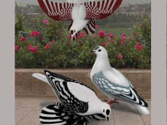 صورة سلالة السنونو المنمّر (Tiger Swallow)