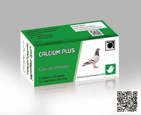Calcium — pigeon supplement