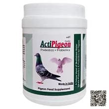 علبة مكمل أكتي بيجن (ActiPigeon) البيضاء — مكمل غذائي للحمام