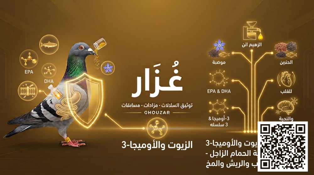 صورة مكمّل الزيوت والأوميجا 3