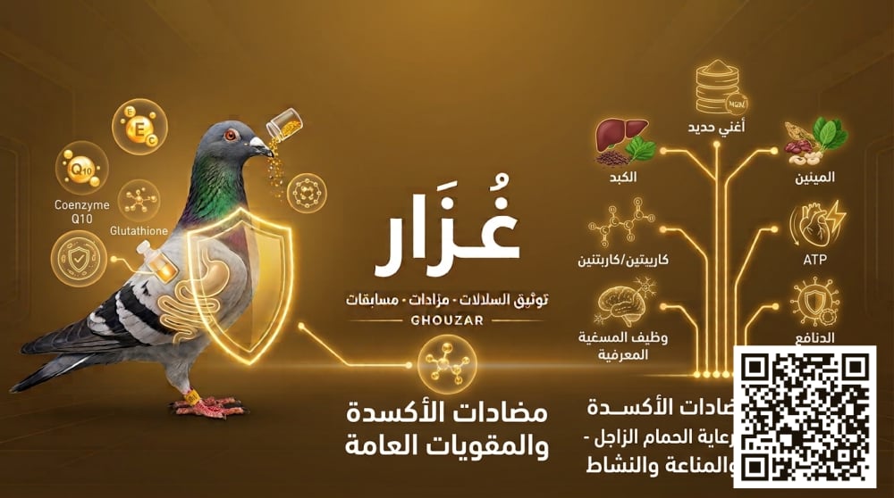 صورة مكمّل مضادات الأكسدة والمقويات العامة