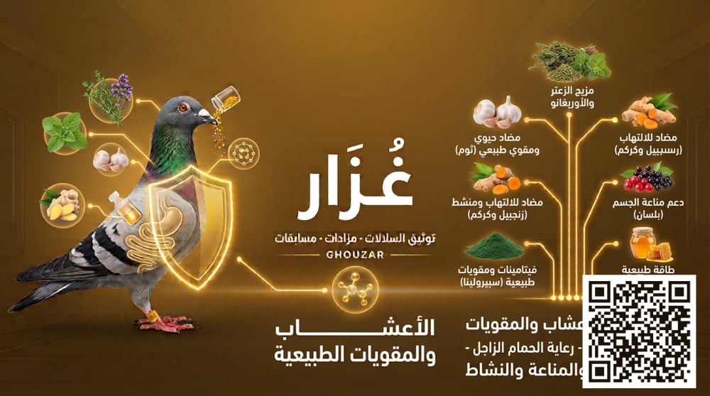 صورة مكمّل الأعشاب والمقويات الطبيعية