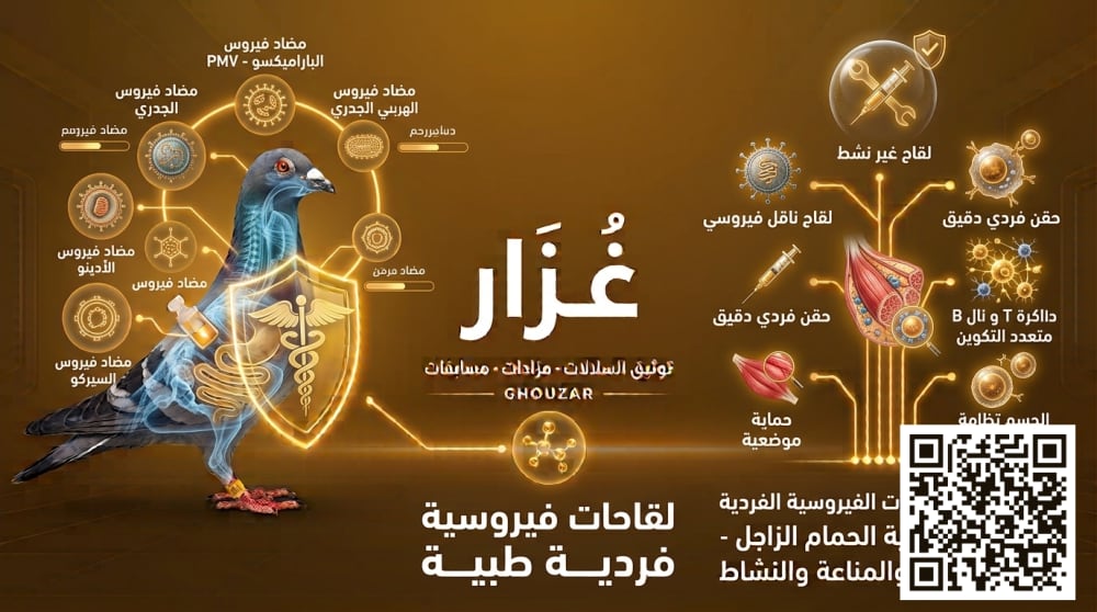 Individual Viral Vaccines — pigeon vaccine