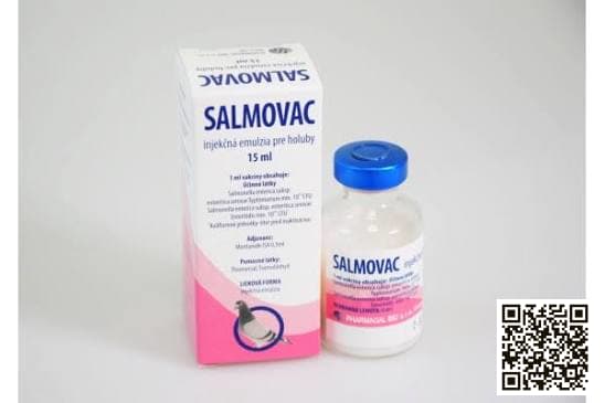 Paratyphoid (Salmonella) Vaccine pigeon vaccine