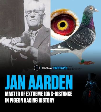 يان أردن (Jan Aarden)