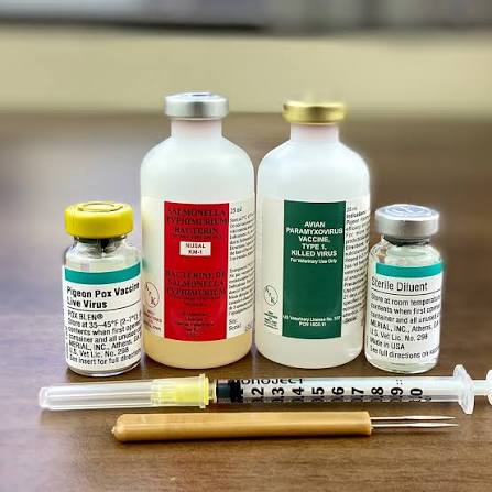 Individual Viral Vaccines