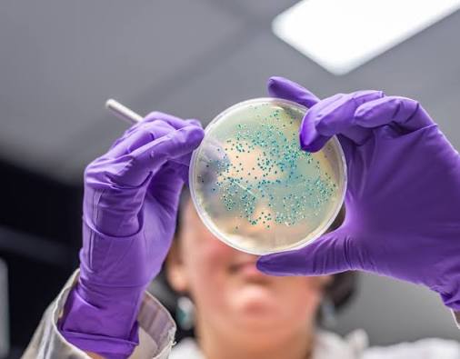 Bacterial Vaccines