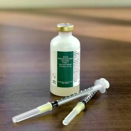 Combination Vaccines