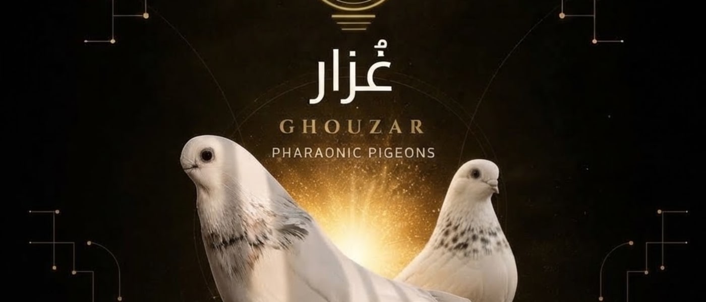 أول صفحة في تاريخ غزار