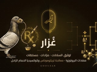 مضادات البروتوزوا