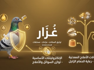 الإلكتروليتات