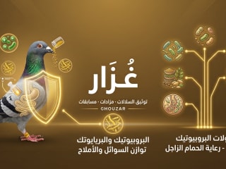 البروبيوتيك والبريبايوتك