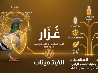 الفيتامينات