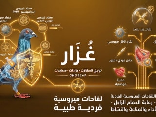 لقاحات فيروسية فردية