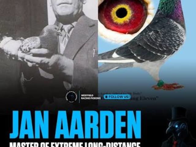 يان أردن (Jan Aarden)