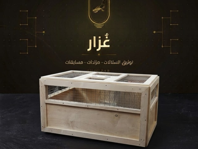 قفص نقل حمام خشبي (قسمين + مقبض)