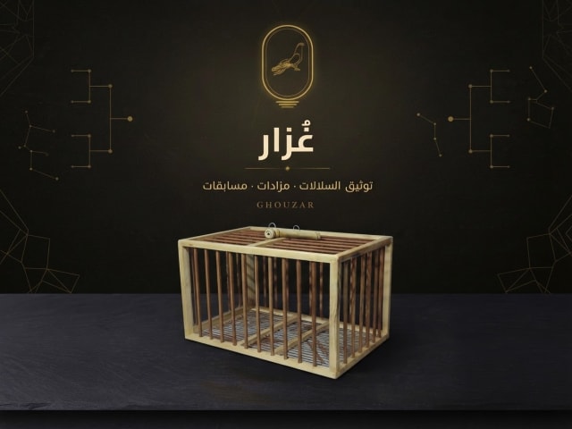 سلاكة كوايل فخمة للغُزار