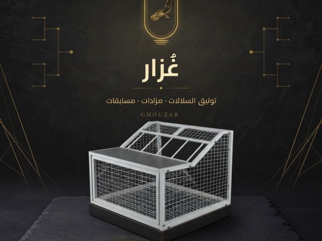 تراب أو مدخل للحمام الزاجل