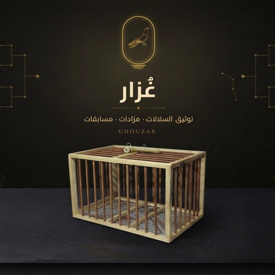 سلاكة كوايل فخمة للغُزار