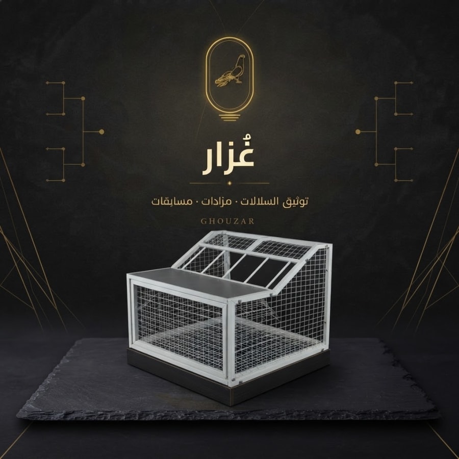 تراب أو مدخل للحمام الزاجل