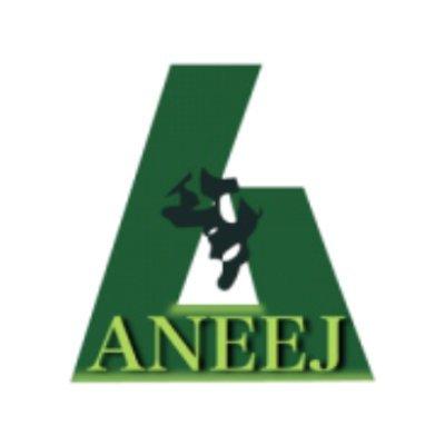 ANEEJ logo - Mithrive Global client
