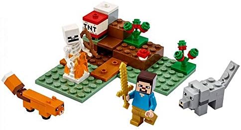 Vue 2 de Lego Minecraft Aventures Dans